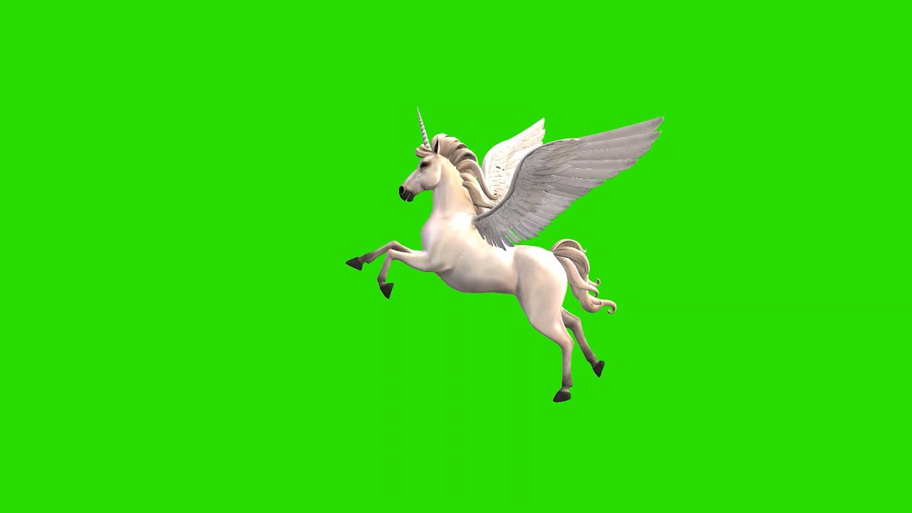 Unicorn green screen effect 2020 free to use in chroma key 3D and