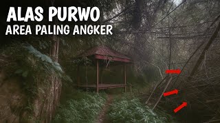 Download Lagu BAHAYA MENGINTAI KONTEN BERANTAKAN DI AREA PALING ANGKER ALAS PURWO! MP3 Download Lagu BAHAYA MENGINTAI KONTEN BERANTAKAN DI AREA PALING ANGKER ALAS PURWO! MP3