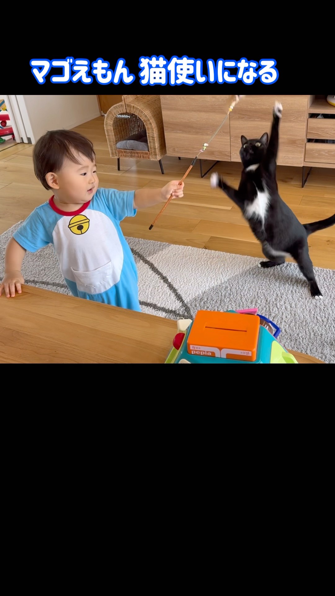 無言取引推奨☆マルマル猫ページ‪‪❤︎‬ まるさんに完敗。I am completely defeated by Maru. | 私信