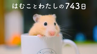 はむこスペシャルNo.142
