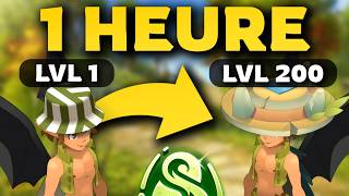 XP LVL 200 EN 1 HEURE SUR DOFUS