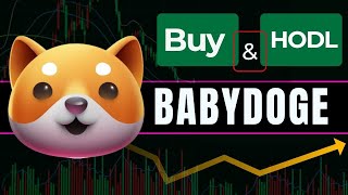 BABYDOGEUSDT Long-Term Buy and HODL