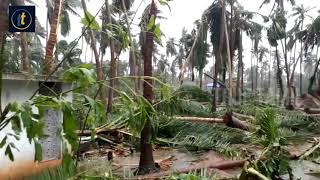 Gaja Cyclone smashed Peravurani, Thanjavur #GajaCycloneUpdates