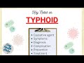 Typhoid- Causes, Symptoms & Complications, Diagnosis, Prevention, Treatment & Control