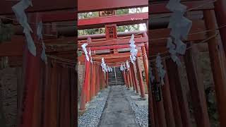 日本一の金運神社 “新屋山神社”   #新屋山神社 #山梨県 #富士吉田市 #金運 #神社 #スピリチュアル #パワースポット