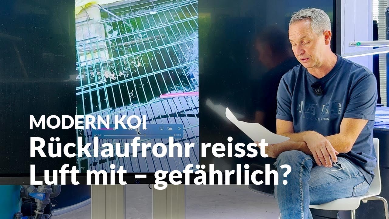 Gasblasenkrankheit durch Luft im Rücklauf? | Modern Koi Blog #7556