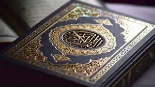 القرآن الكريم...سورة النصر...القارئ محمد رشاد الشريف... An-Nasr