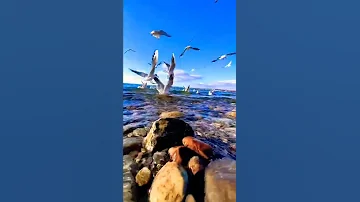 استكنان تركي روقان لا يفوتك 