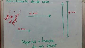 Magnitud, norma o módulo de un vector: longitud o medida.