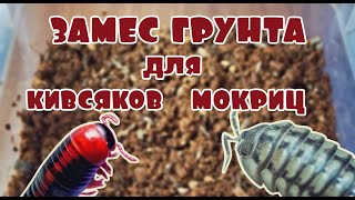 Грунт для кивсяков и мокриц 🐛 Трухлявим трухляшку😜