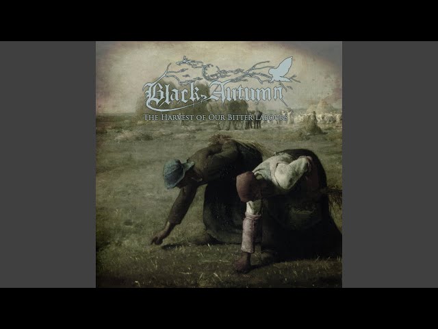 Black Autumn - This Black Soil