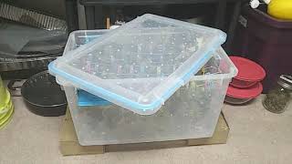 DIY Cannabis Drying Tub for Small Harvests