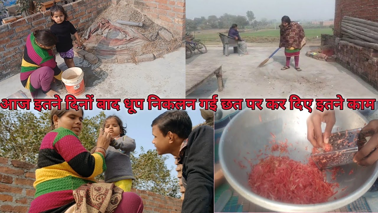 आज इतने दिनों बाद धूप निकलन गई छत पर कर दिए इतने काम 