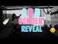 OUR 3RD GENDER REVEAL!!