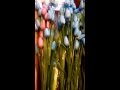 FLORES TULIPANES ARTIFICIALES