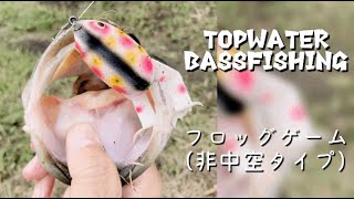 【バス釣り】非中空フロッグでトップウォーターバスフィッシング