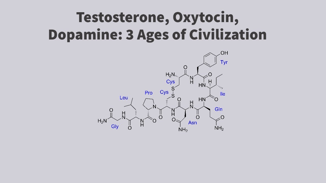 Video thumbnail — Testosterone, Oxytocin, Dopamine: 3 Ages of Civilization (EXCERPT)