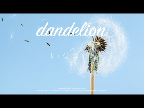 LiQWYD Dandelion Official