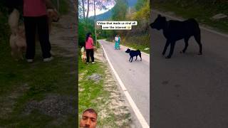 Jack 🐶 on fight  #shorts  #JACK #dogs #cute #puppy #doglove #animals #pets #shorts #TRENDING