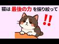 【涙腺崩壊】猫が旅立つときに伝えたいこと【15選】猫が最後に考えていることを知っていますか?根拠はなくても飼い主さんはわかる体験したこと【それは命のメッセージ…かもしれない】 #猫 #雑学 #豆知識
