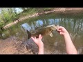 Exploring my go to bass creek. This creek keeps surprising me. What's around the next turn?