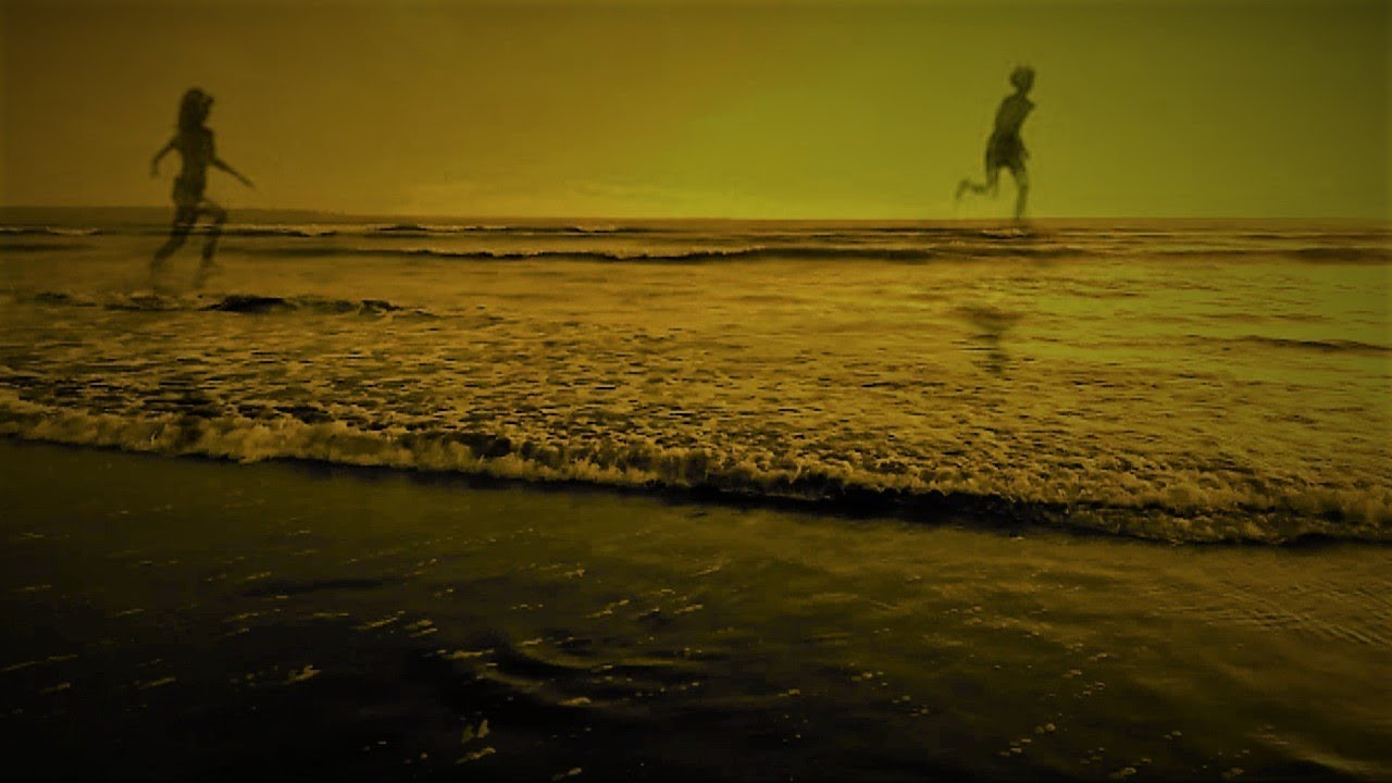 Kuba - Citrus Garden