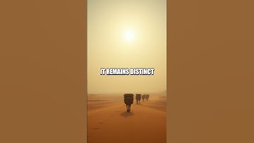 Awaiting Your Prompt for a Fresh Short