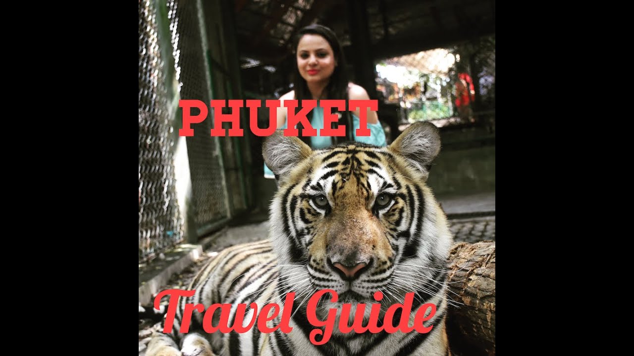 PHUKET 2019 TOP PLACES TO VISIT WITH KIDS | TIGER KINGDOM |  PHUKET TRAVEL GUIDE  WITH NIGHTLIFE