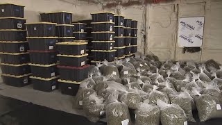 NY's 1st Legal Cannabis Dispensary Opens in Manhattan Today | El Minuto (English)