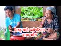 सिस्नु पकाएर खाँदै/ के के रोगलाई फाईदा / Cooking Nettle In Nepal / Bhuwan Singh Thapa/ Village Food
