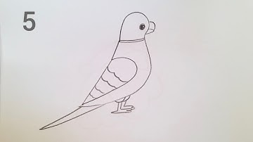 how to draw parrot drawing from 5 number easy step by step@DrawingTalent