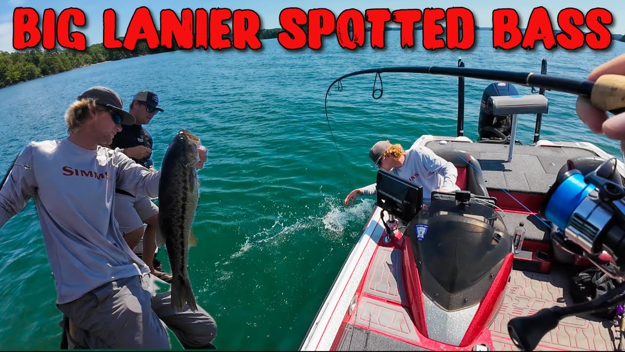 BIG SPOTTED BASS ON LAKE LANIER WITH DSBASSGUIDE