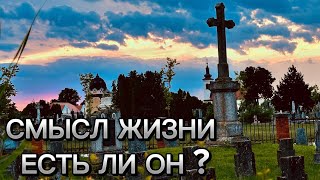 Есть ли смысл в жизни ?