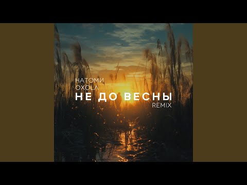 Не до весны (Remix)