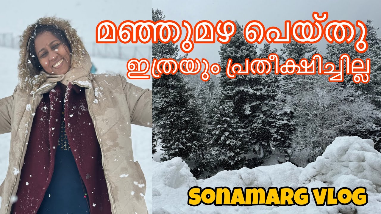Our first snowfall|| dream come true || kashmir|| sonamarg