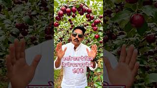 Gaon Ka Superfruit 🍒 Bair Ke Fayde Sunke Shock Ho Jaoge #shortsfeed #facts #ai#fypシ゚viral