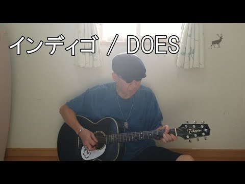 インディゴ / Indigo / DOES