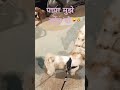 पापा मुझे छोड़ दो 🤣🤪😎|| #funny #youtubeshorts