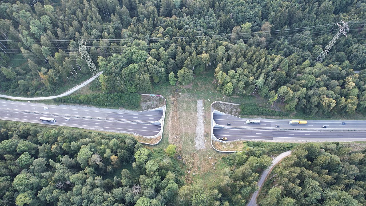 120 Sekunden Biodiversität: Der Newsflash von Mission B, Oktober 2022