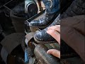 cracked Aligator skin boots Lucchese