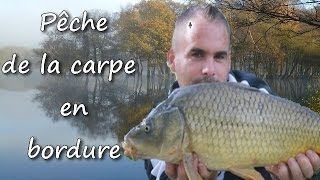 Pêche de la carpe au coup en bordure