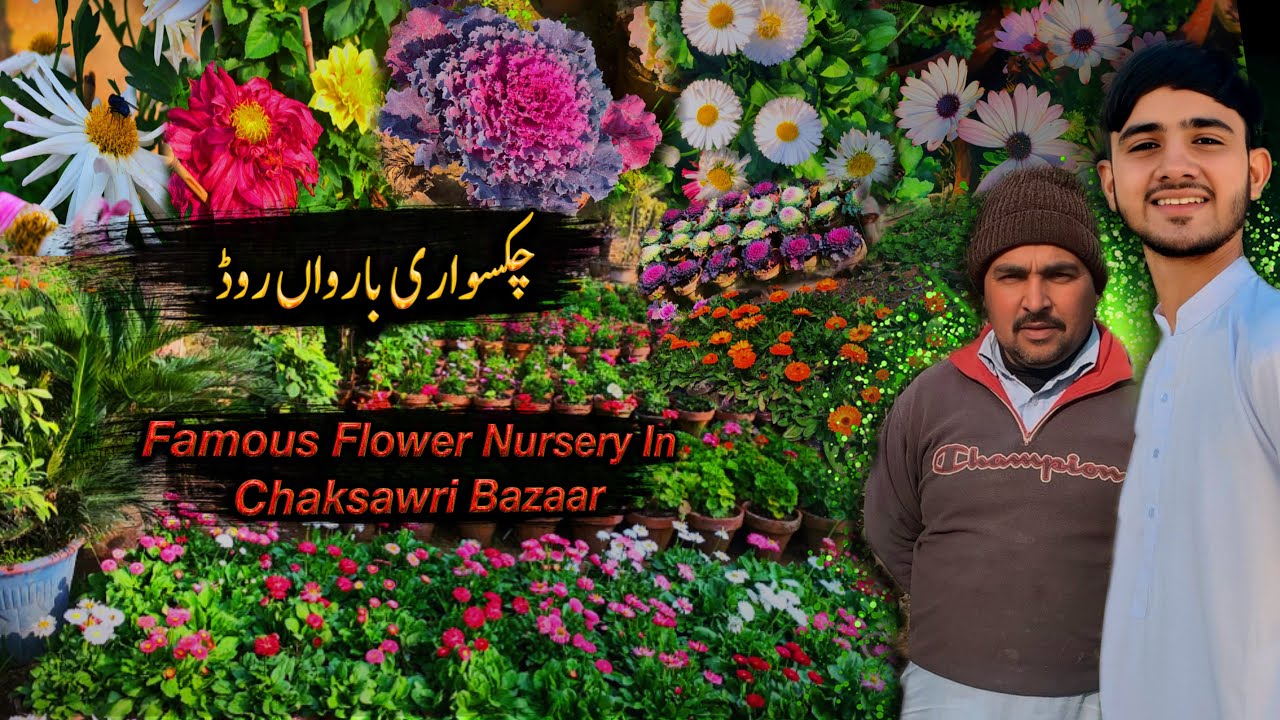 Famous flower 🌹 nursery in Chakswari baruwa road 🥰