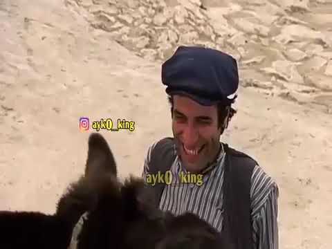 شعبو و که رو فول زوق