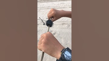 Thả Diều sáo bằng cuộn dây siêu víp..#kite #xuhuong #viral #youtubeshorts #youtube #diều #vietnam