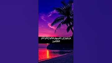 ماتيسر من سوره الانبياء🥰💗💗💗🥰🔥