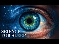 Science For Sleep | Consciousness: Why Are We Aware?