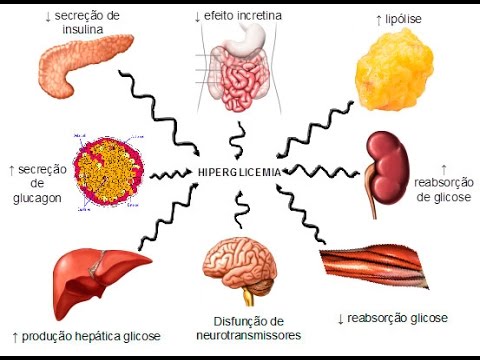 Side Effects Of Elevated Prograf Levels