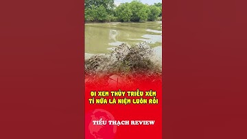 Đi xem thủy triều xém tí nữa là niệm luôn rồi #shorts