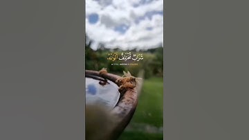 و أوحى ربك إلى النحل #قران كريم بصوت القارئ خالد الجليل