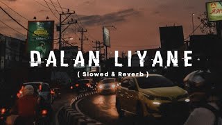 Dalan Liyane (Slowed & Reverb)